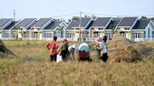 Pemerintah Siapkan Aturan Baru, Sawah yang Telanjur Jadi Perumahan Dicarikan Jalan Keluar